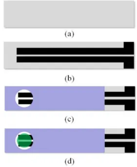 Fig. 3 shows the fabrication process of a single-layer glucose sensor using GDH-FAD. To fabricate a single-layer glucose sensor, a carbon/silver electrode is formed on a PET film using screen printing technology, a hydrophobic film is formed, and a dispens