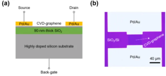Fig. 1. (a) A schematic and (b) optical microscope image of graphene field-effect transistor (GFET) fabricated with a graphene layer transferred on SiO 2 /Si substrate