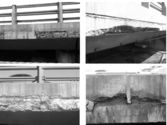 Fig. 3. Appearance of concrete degradation 