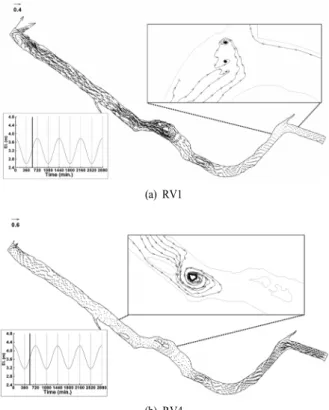 Fig. 9. Flow reversal at maximum flood flow.