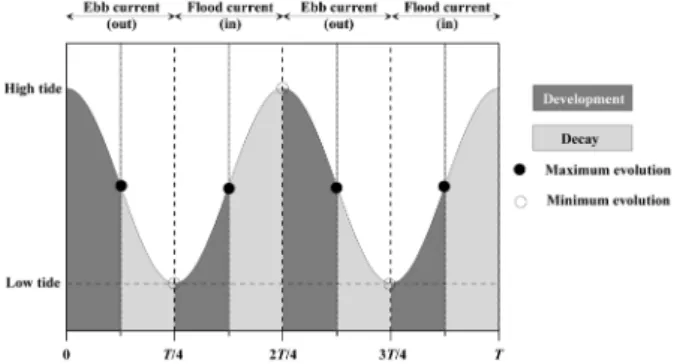 Fig. 10. Development and decay of ebb and flood currents for  one semi-diurnal tide cycle.