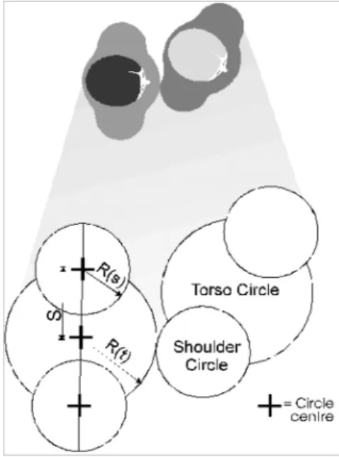 Fig. 1. Evacuee's body size for simulation.