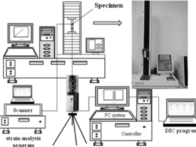 Fig. 4.  The  schematic  local  region  deformation  under  the  loading.