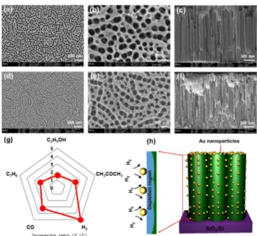 Fig. 8. A SEM micrograph of surface of (a) TiO 2  nanotubes and (d) Au-decorated TiO 2  nanotubes