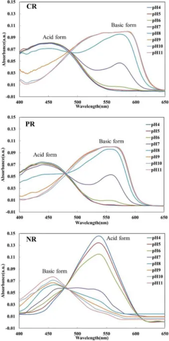 Fig. 4. Absorbance spectra of cresol red(CR), phenol red(PR), and neutral red(NR) as a function of pH