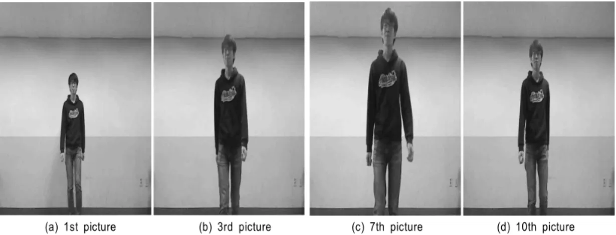 Fig  4.  Pictures  used  in  simulation