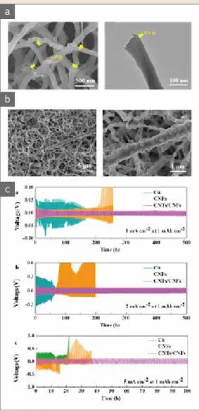 그림 1  ▶   (a) SEM and TEM CNTs/CNFs, (b) SEM images of Li  plating CNTs/CNFs scaffolds and (c) Galvanostatic  discharge/charge at different current density [23]
