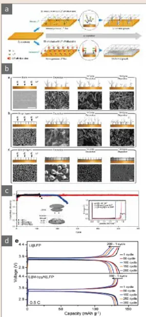 그림 4  ▶   (a) Schematic illustration of Li growth on a 3D  matrix layer of Cu foil and 3D matrix layer with  Li+affinitive sites, (b) Li growth behavior on  M-bpyN|Cu and Li|Cu and SEM image, (c) Cycle  performances and voltage profiles of the Li||Cu,  Li|