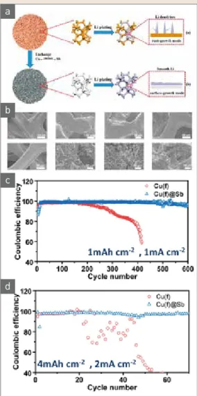 그림 5  ▶   (a) Schematic illustration of Li deposition on Cu  foam and Cu foam@Sb, (b) SEM images of Cu  foam and Cu foam@Sb after plating and stripping  and (c), (d) Coulombic efficiencies of Li/Cu foam  and Li/Cu foam@Sb half cells [31].