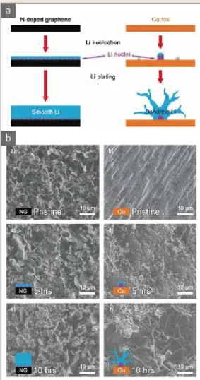 그림 6  ▶   (a) Schematic representation of the Li nucleation  and plating process on N-doped graphene electrode  and Cu foil electrode and (b) SEM images of metallic  Li deposits on N-doped graphene electrode and Cu  foil electrode [32].