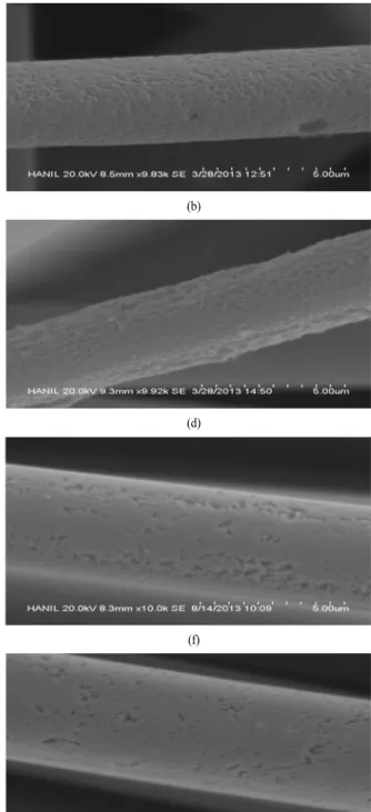 Fig. 8. SEM micrographs of ACF samples with carbonization at 700℃ or 800℃ ; (a) aH 7 , (b) aHN 7 , (c) aHK 7 , (d) aHNK 7,  (e) aH 8 , (f)  aHN 8 , (g) aHK 8 , (h) aHNK 8 
