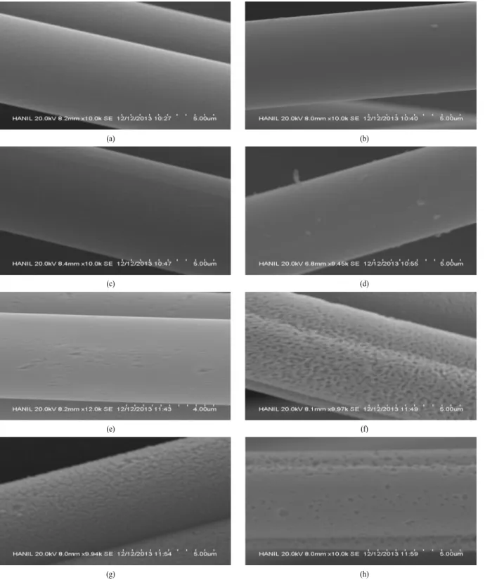 Fig. 9. SEM micrographs of ACF samples with carbonization at 700℃ or 800℃ ; (a) bH 7 , (b) bHN 7 , (c) bHK 7 , (d) bHNK 7,  (e) bH 8 , (f) bHN 8 , (g) bHK 8 , (h) bHNK 8 