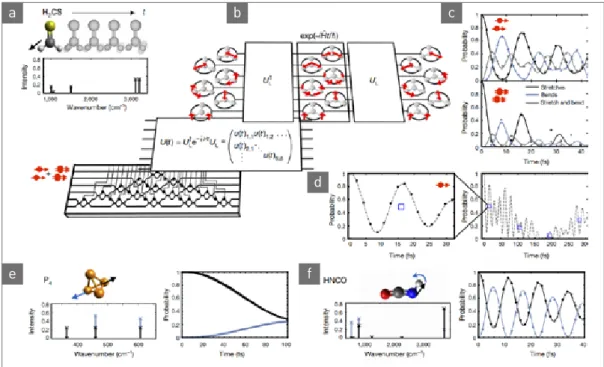 그림 7  ▶  Experimental setup and results for simulating the vibrational quantum dynamics of various molecules using single  photons
