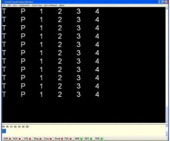 Fig. 11. Displayed data on a monitor.