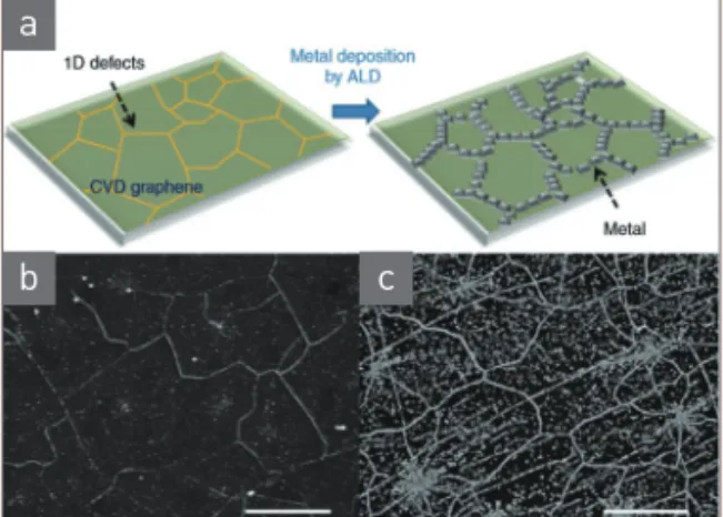 그림 1  ▶    (a) Schematic of ALD Pt growth on grain boundar   ies in graphene [13]. SEM images of ALD Pt films on    graphene after (a) 500 ALD cycles and (c) 1,000 ALD    cycles [13].