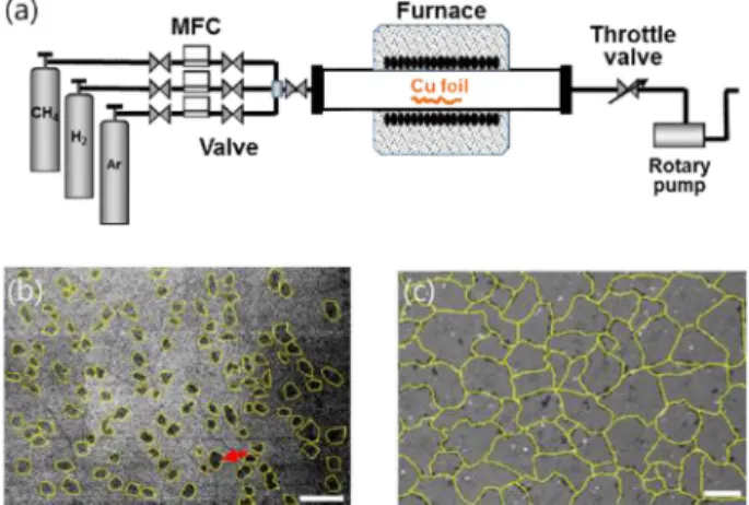 Fig. 2. (a) Schematic diagram of TCVD system for graphene growth.