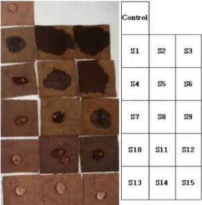 Fig. 6. Photograph of water marks after 10 min. water drop. 