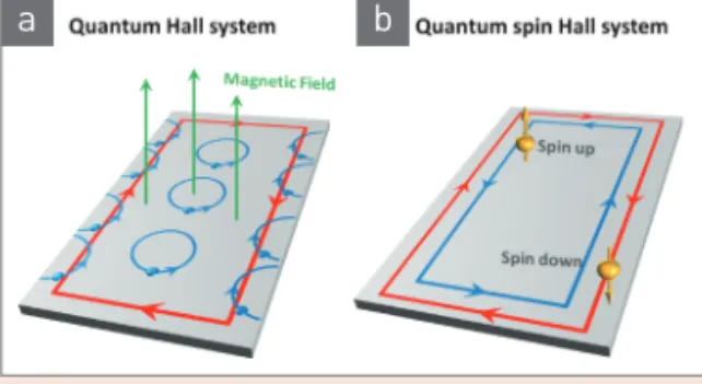 그림 1  ▶    (a) The movement of electrons with quantum hall    effect and (b) quantum spin hall effect in 2D system    [19].