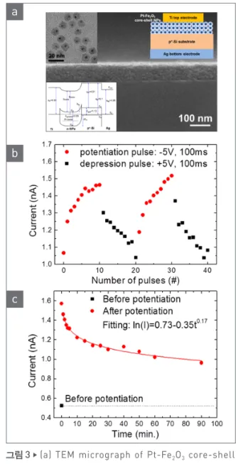 그림 3  ▶    (a)  TEM  micrograph  of  Pt-Fe 2 O 3   core-shell    nanoparticles, SEM micrograph of nanoparticle as   sembly, schematic illustration of Ti/nanoparticles/ 