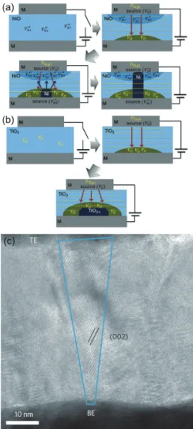 그림 2. Schematics of the point-dynamics-triggering CF  formation sequence for (a) hyperstoichiometric NiO  and (b) hypostoichiometric TiO 2 