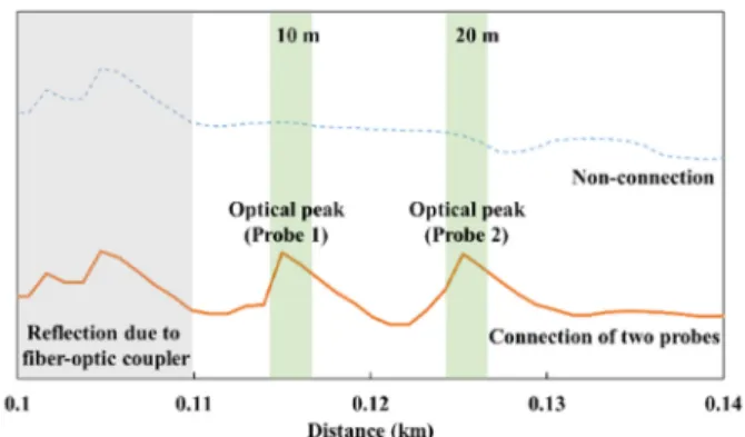 Fig. 1. Structure of a temperature sensing probe. 