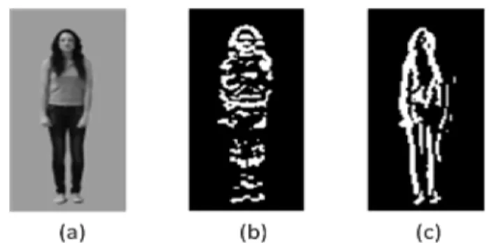 Fig. 3. Edge detection example: (a) Original image, (b) Horizontal edges, (c) Vertical edges