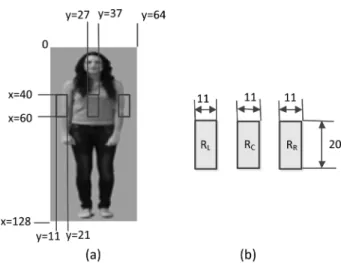 Fig. 4. Edge distribution patterns are checked in three image regions on a human torso: (a) Three detection regions in the window, (b) Sizes of the three regions R L , R C , R R