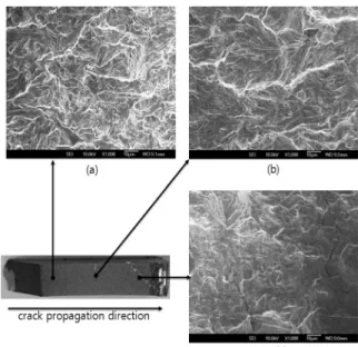 Fig. 9. SEM image of fracture surface of the railway wheel steel for  the loading angle of 0 o  at the location of extended crack  length (a) a=25 mm(ΔKI=10.4     ), (b) a=30 mm, (c)  a=35 mm.
