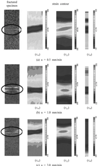 Fig. 9. Distributions of the ε yy  strain contour according to the ap- ap-plied loading rate(%) (u=1.0 mm/min).