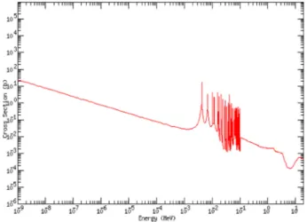 Fig. 1. Neutron cross section of vanadium-51.