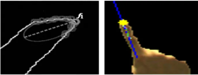 Fig.  5.  Finger  detecting  method  using  the  curve  information  between  fingers  based  on  the  gradient  information  [10]