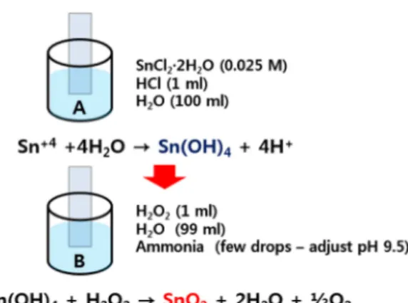Fig. 1. SnO 2  thin films formation mechanism. 
