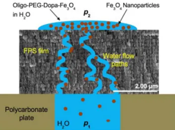 Fig. 2. Infiltration model of Fe 3 O 4 -nanoparticles into the pores of FPS film by lateral pressure difference.