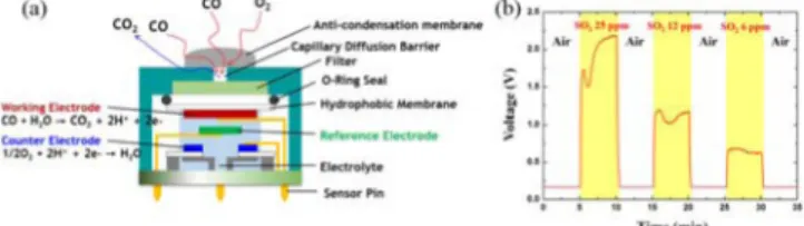 Fig. 2. (a) Schematic of electrochemical type gas sensor, (b) Exam- Exam-ple of experimental results for SO 2 .