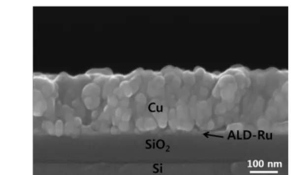 Fig. 10.  Cross-sectional view SEM image of a Cu film  electrodeposited on the ALD-Ru film prepared using  EBECHDRu(0) as a precursor [31].