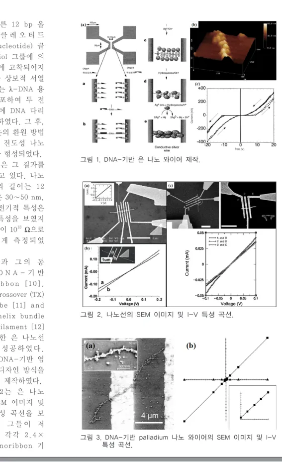 그림 3.  DNA-기반 palladium 나노 와이어의 SEM 이미지 및 I-V  특성 곡선.