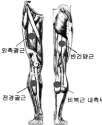Fig. 4. 근전도 측정 근육과 전극 부착 위치