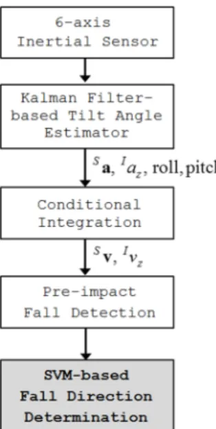 Table 1. Protocol of the simulated falls