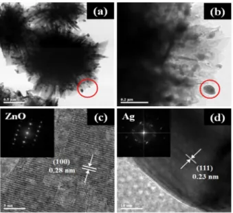 Fig. 3. XRD patterns of the pure ZnO and Ag-doped ZnO micro- micro-spheres with various Ag contents.