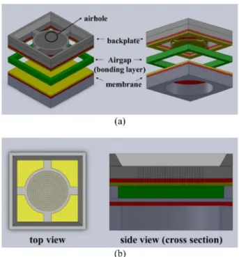 Fig. 2. Schematic of the MEMS microphone. (a) Structure of the MEMS microphone and (b) schematics of the top view and side view