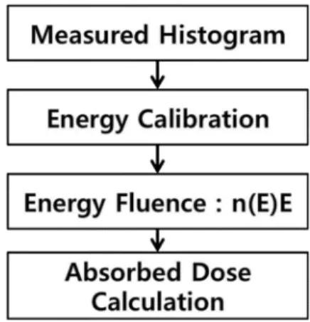 Fig. 4. Flow chart for absorbed dose.