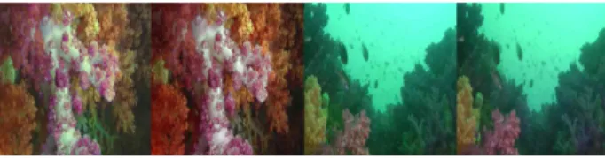 Fig.  1.  Underwater  stereo  images  acquired  by  a  half-mirror-based  ster- ster-eo  camera  져온다