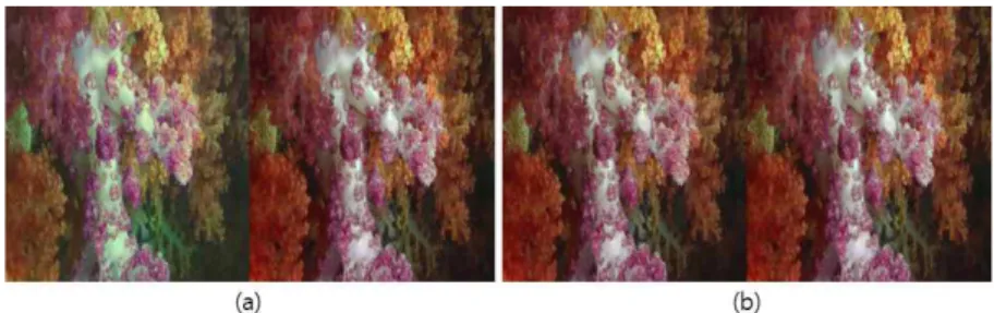 그림 4.  제안하는 방법에서 사용한 3차원 점 정합을 이용한 스테레오 영상의 색상 불균형 보정 [12]  ,(a)  색상 불균형 보정 전,  (b)  색상 불균형 보정 후 Fig