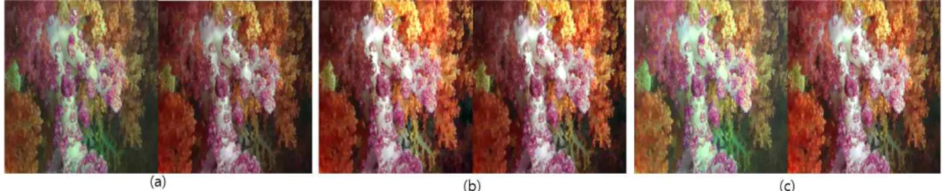 Fig.  6.  Results  of  the  proposed  visibility  enhancement  method,  (a)  original  images,  (b)  visibility  enhanced  images 