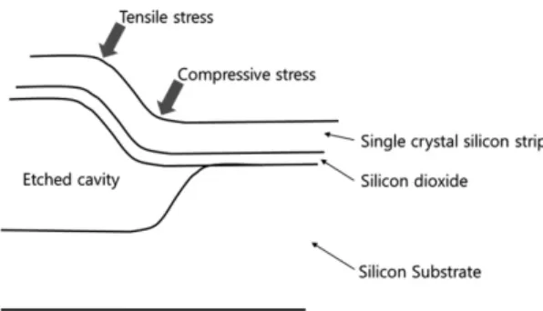 Fig. 6. Stress distribution on single crystal silicon strip.