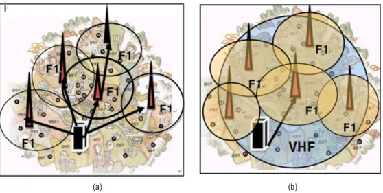 Fig  6.  (a)  SFN    with  1  frequency,  (b)  SFN  with  2  frequencies 
