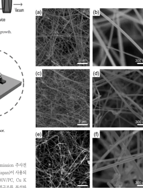Fig. 2. Schematic device of nanowire network sensor.