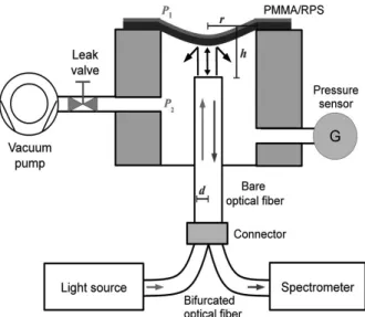Fig. 1. Schematic diagram of a fiber-optic sensor with a PMMA/RPS diaphragm.