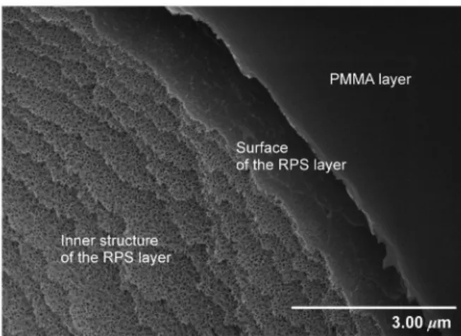 Fig. 2. Scanning electron microscope image of a PMMA/RPS diaphragm.