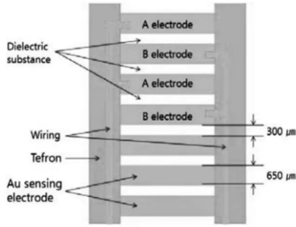 Fig. 1. Configuration of the sensor electrodes.